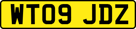 WT09JDZ