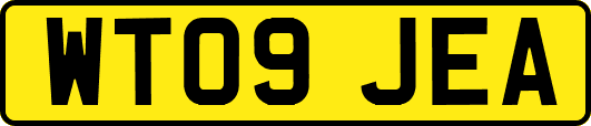 WT09JEA