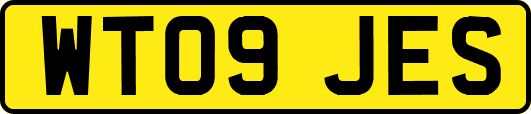 WT09JES