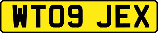 WT09JEX