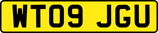 WT09JGU