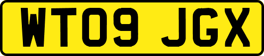 WT09JGX