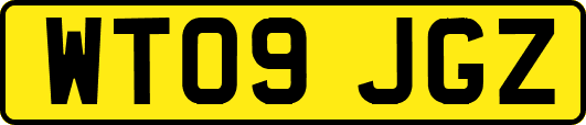 WT09JGZ