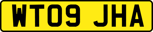WT09JHA