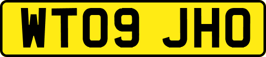 WT09JHO