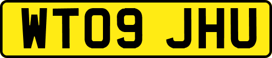 WT09JHU