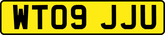WT09JJU