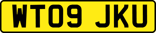 WT09JKU
