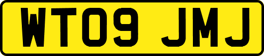 WT09JMJ
