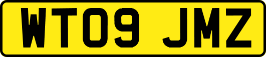 WT09JMZ