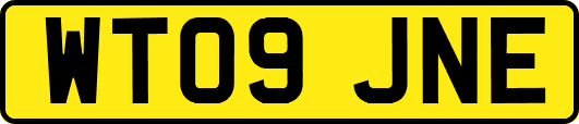WT09JNE
