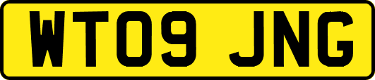 WT09JNG