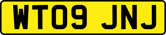 WT09JNJ