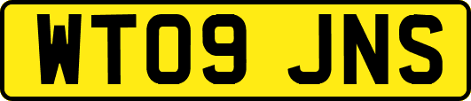 WT09JNS