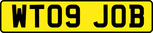 WT09JOB
