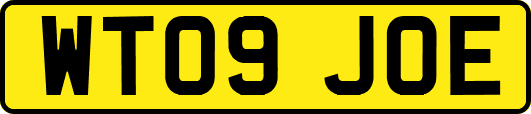 WT09JOE