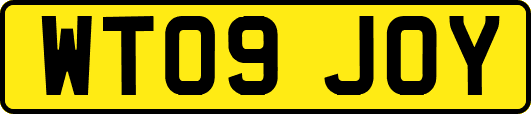 WT09JOY