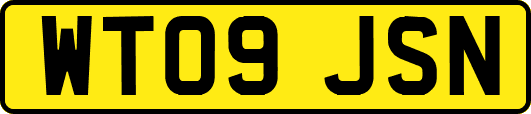 WT09JSN