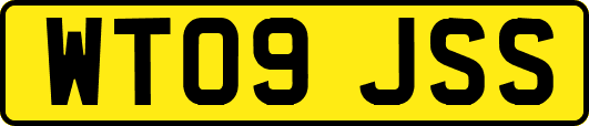 WT09JSS