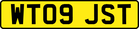 WT09JST