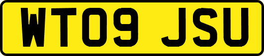 WT09JSU