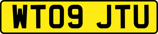 WT09JTU