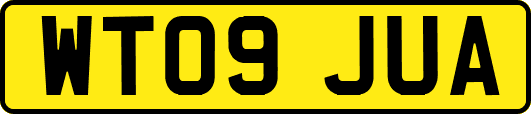 WT09JUA