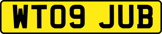 WT09JUB