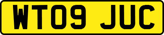 WT09JUC