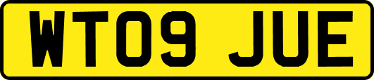 WT09JUE