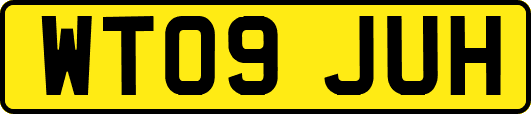 WT09JUH