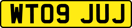 WT09JUJ