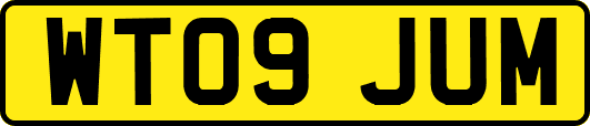 WT09JUM