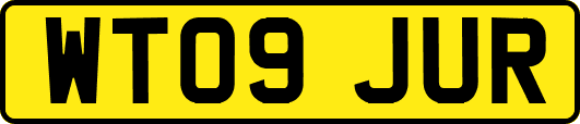 WT09JUR