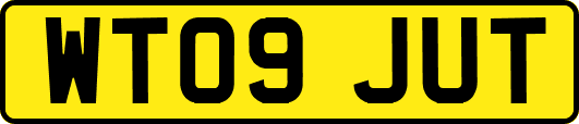 WT09JUT