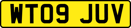 WT09JUV