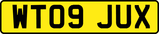 WT09JUX