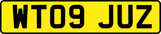 WT09JUZ