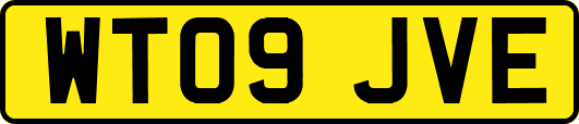 WT09JVE