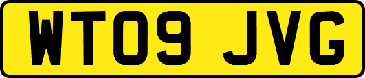 WT09JVG