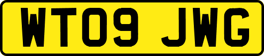WT09JWG