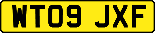 WT09JXF