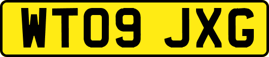 WT09JXG