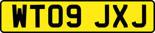 WT09JXJ