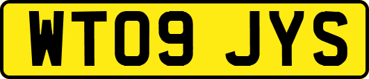 WT09JYS