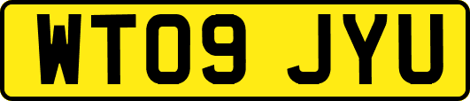 WT09JYU