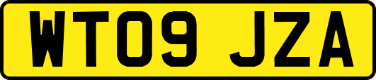 WT09JZA