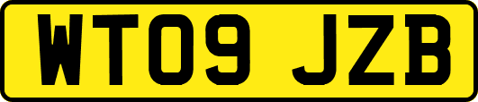 WT09JZB