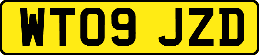 WT09JZD