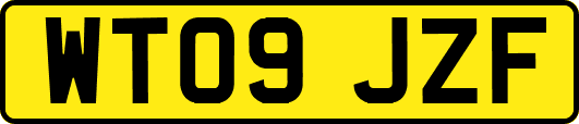 WT09JZF